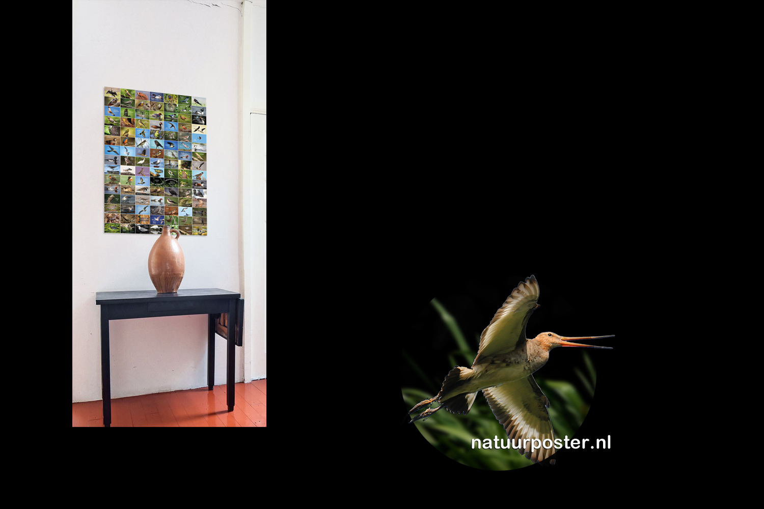 Vogelposter-OpLocatie-01