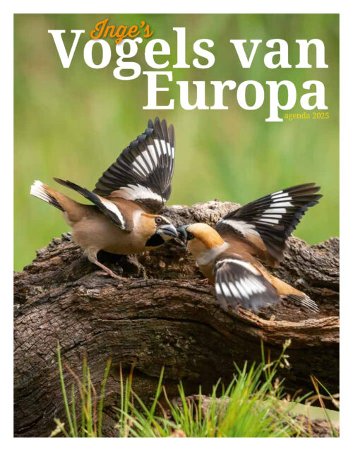 Cover foto Inge's vogels van Europa agenda 2025