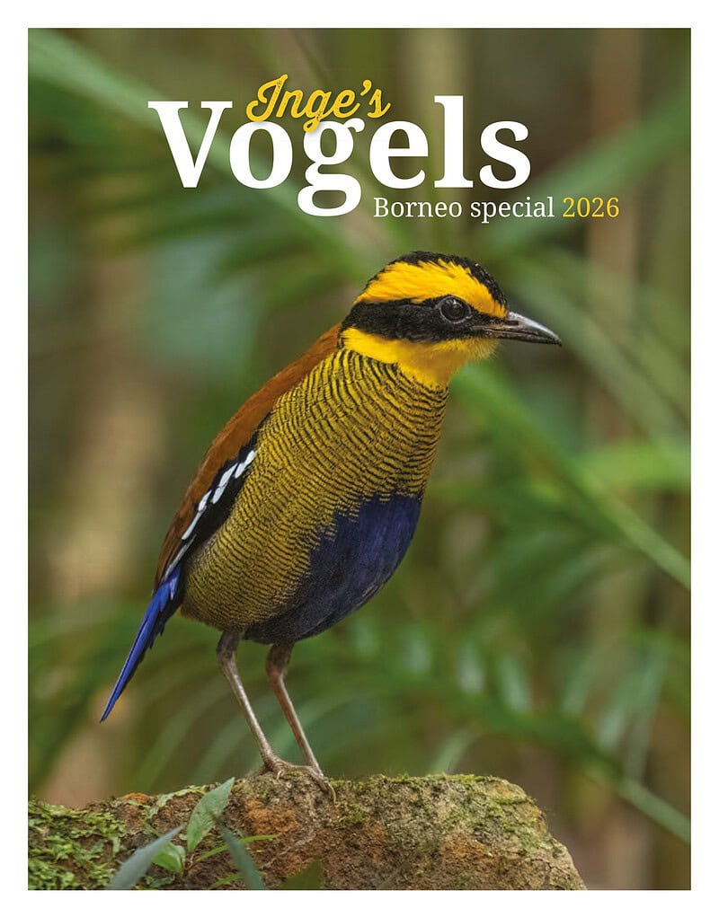 Inge's Vogels Agenda 2026