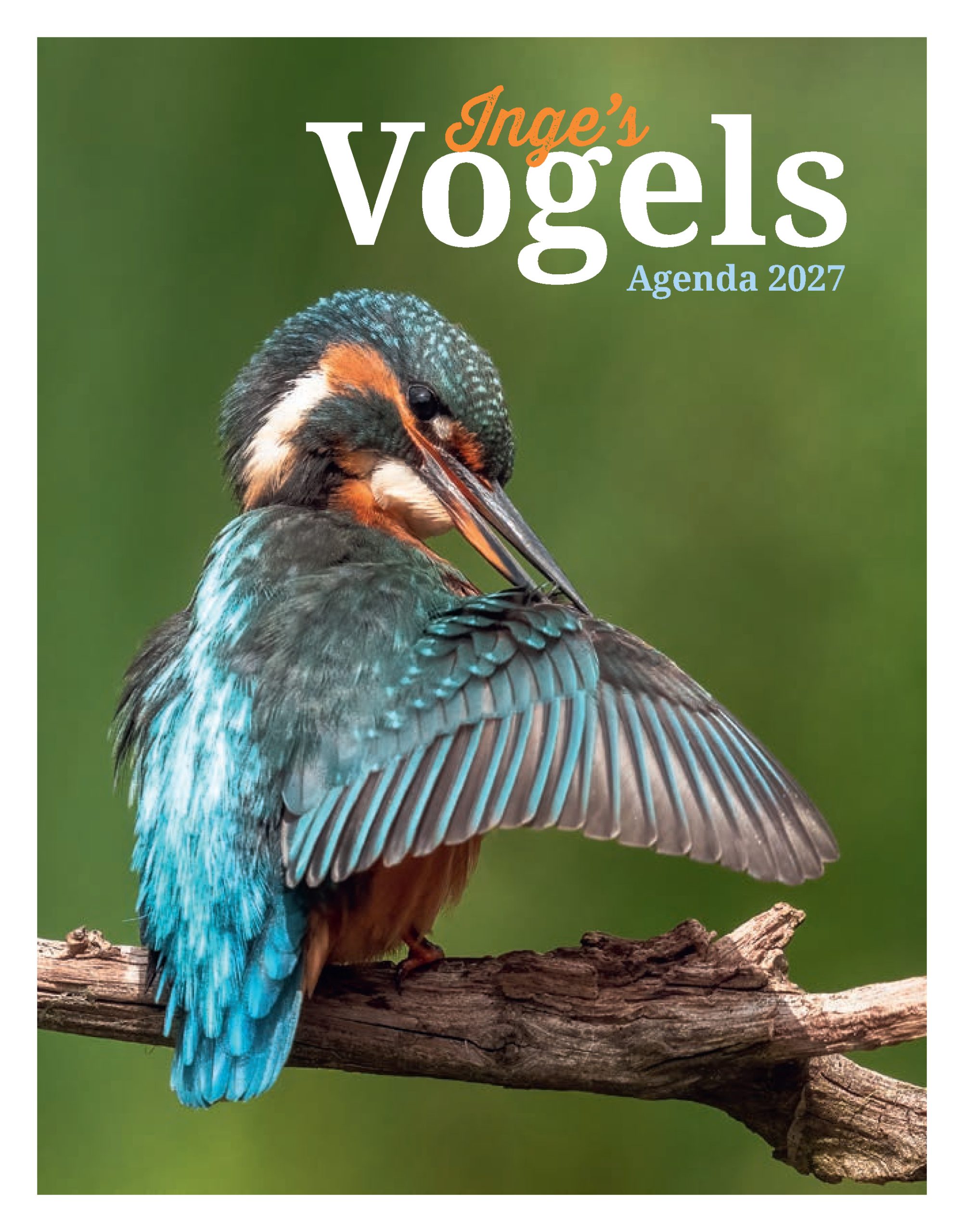 Cover Inge's Vogels 2027